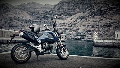 Best Motorcycle Tyre and Size Guide for the Honda MSX grom